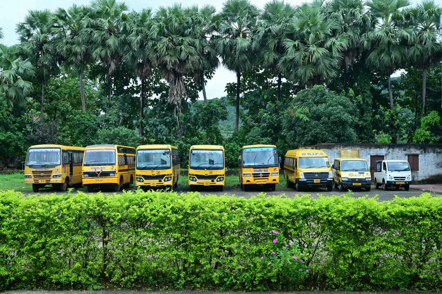 School transport facility